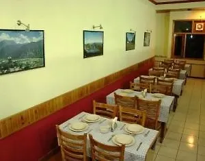 Apple Rose Shimla